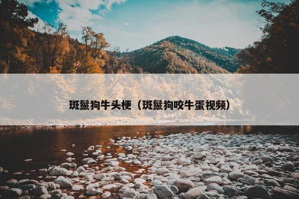 斑鬣狗牛头梗（斑鬣狗咬牛蛋视频）