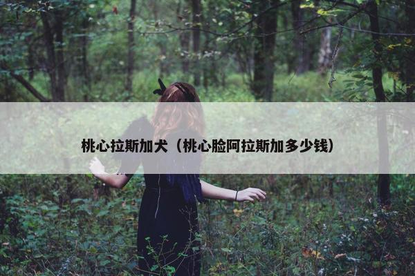 桃心拉斯加犬（桃心脸阿拉斯加多少钱）