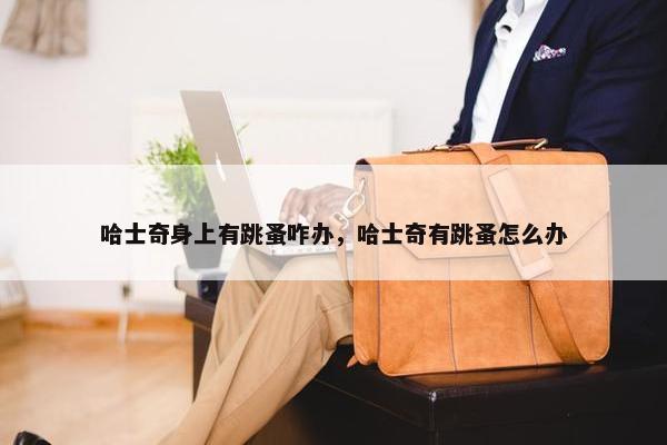 哈士奇身上有跳蚤咋办，哈士奇有跳蚤怎么办