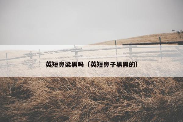 英短鼻梁黑吗（英短鼻子黑黑的）