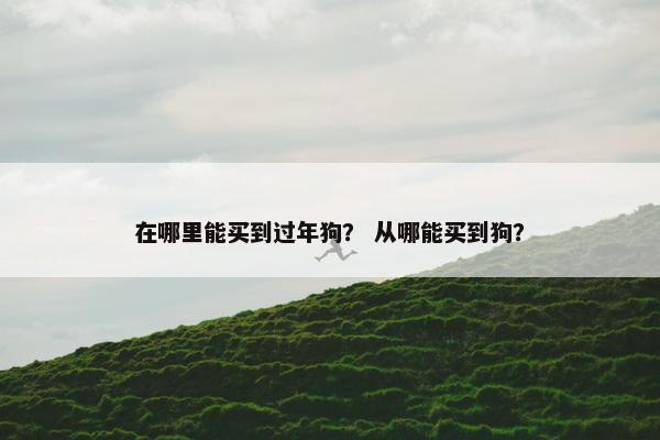 在哪里能买到过年狗？ 从哪能买到狗？