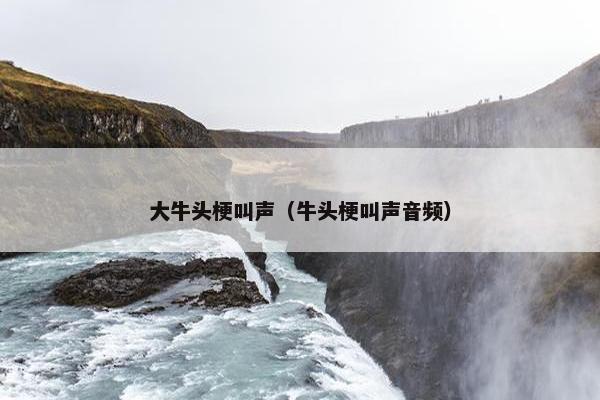 大牛头梗叫声（牛头梗叫声音频）