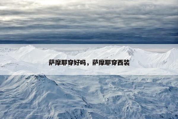 萨摩耶穿好吗，萨摩耶穿西装