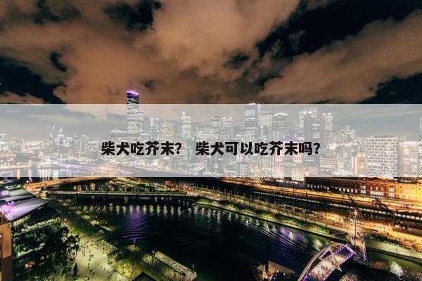 柴犬吃芥末？ 柴犬可以吃芥末吗？