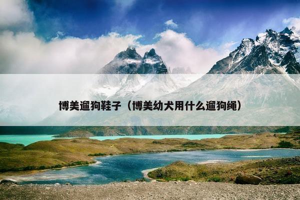 博美遛狗鞋子（博美幼犬用什么遛狗绳）