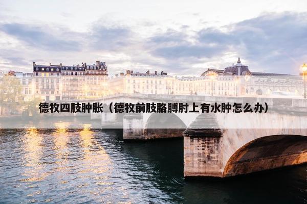 德牧四肢肿胀（德牧前肢胳膊肘上有水肿怎么办）