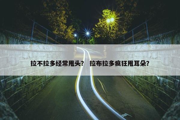 拉不拉多经常甩头？ 拉布拉多疯狂甩耳朵？