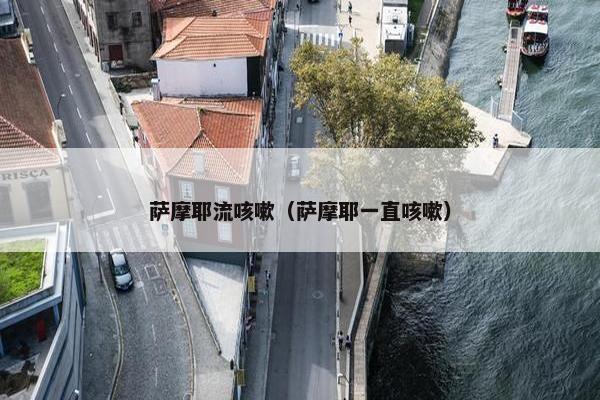 萨摩耶流咳嗽（萨摩耶一直咳嗽）