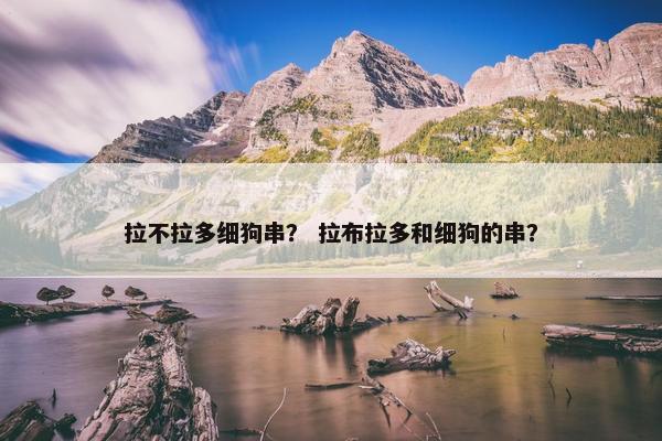拉不拉多细狗串？ 拉布拉多和细狗的串？