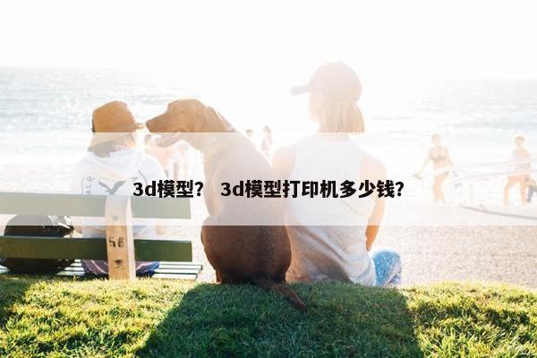 3d模型？ 3d模型打印机多少钱？