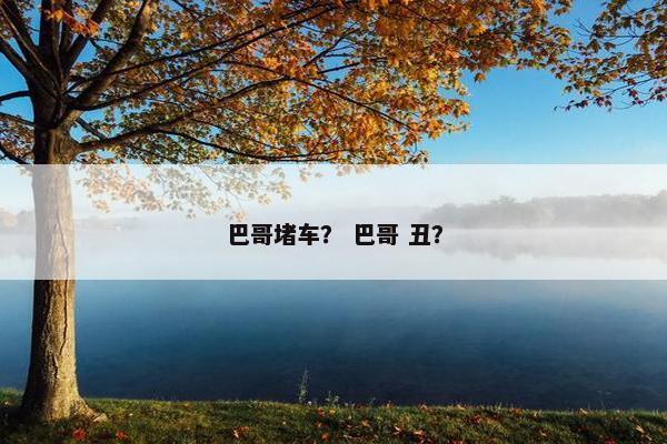 巴哥堵车？ 巴哥 丑？