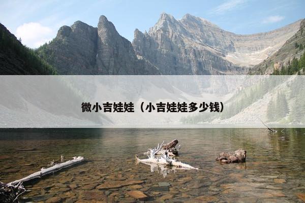 微小吉娃娃（小吉娃娃多少钱）