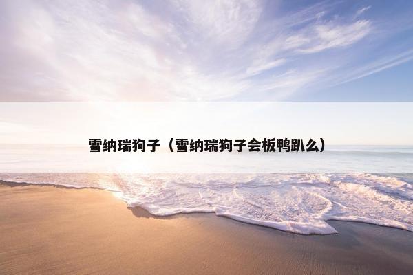 雪纳瑞狗子（雪纳瑞狗子会板鸭趴么）