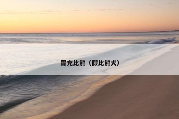 冒充比熊（假比熊犬）
