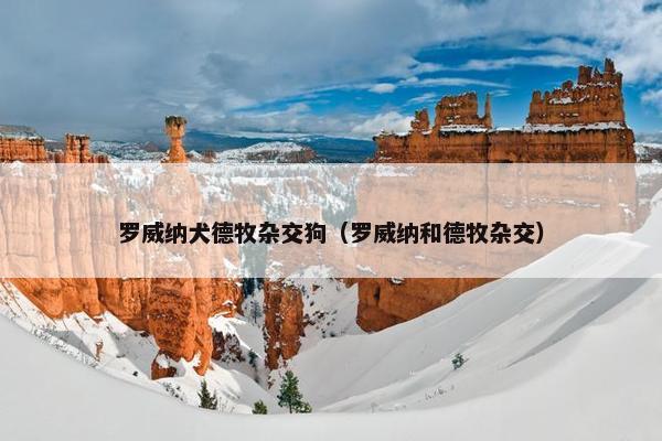 罗威纳犬德牧杂交狗（罗威纳和德牧杂交）