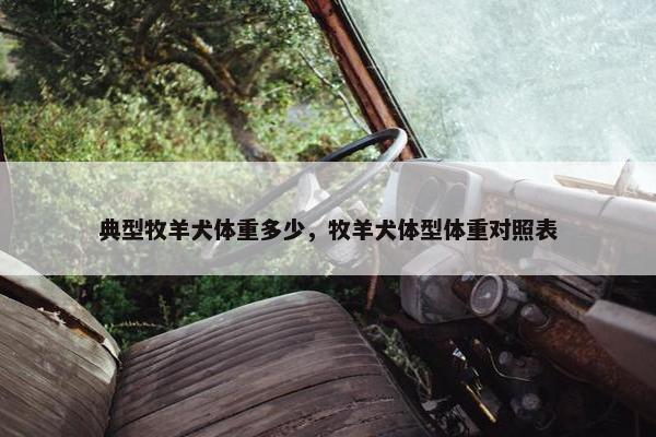 典型牧羊犬体重多少，牧羊犬体型体重对照表