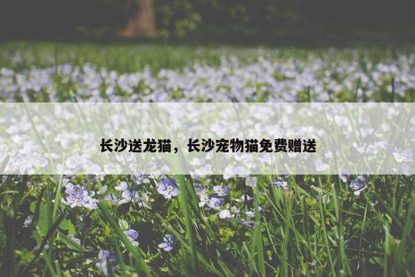 长沙送龙猫，长沙宠物猫免费赠送