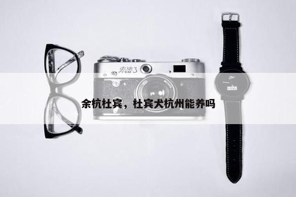 余杭杜宾，杜宾犬杭州能养吗