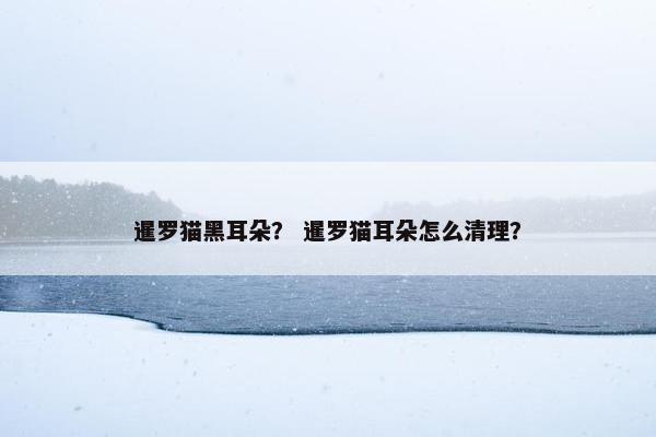 暹罗猫黑耳朵？ 暹罗猫耳朵怎么清理？