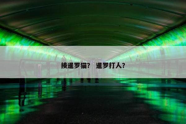 揍暹罗猫？ 暹罗打人？