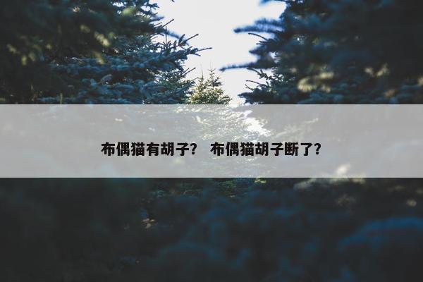布偶猫有胡子？ 布偶猫胡子断了？