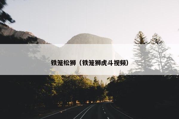 铁笼松狮（铁笼狮虎斗视频）
