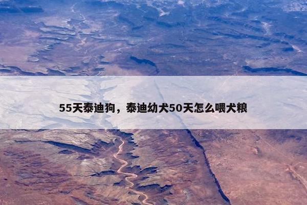55天泰迪狗，泰迪幼犬50天怎么喂犬粮