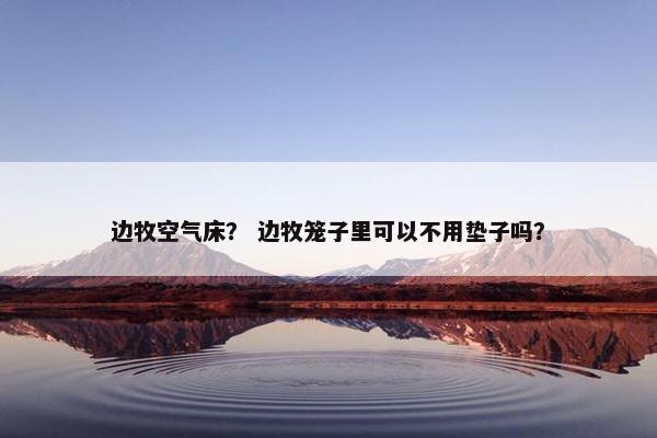 边牧空气床？ 边牧笼子里可以不用垫子吗？