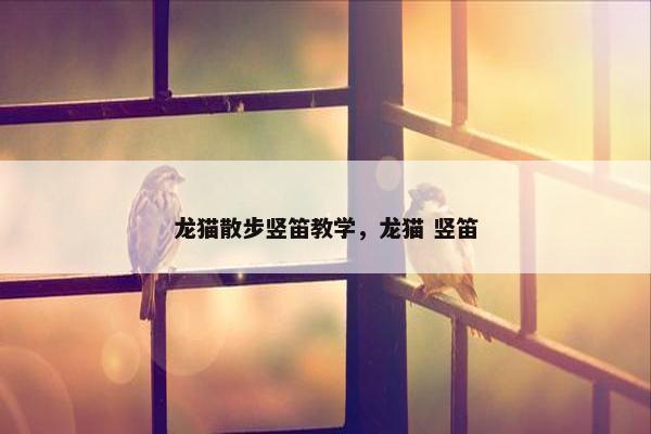 龙猫散步竖笛教学，龙猫 竖笛