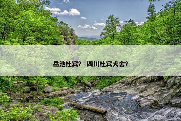 岳池杜宾？ 四川杜宾犬舍？