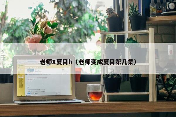 老师X夏目h（老师变成夏目第几集）