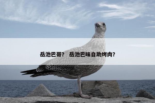 岳池巴哥？ 岳池巴味自助烤肉？