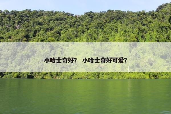 小哈士奇好？ 小哈士奇好可爱？