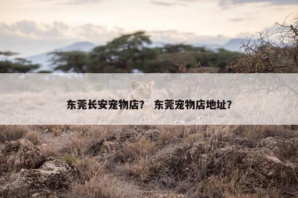 东莞长安宠物店？ 东莞宠物店地址？