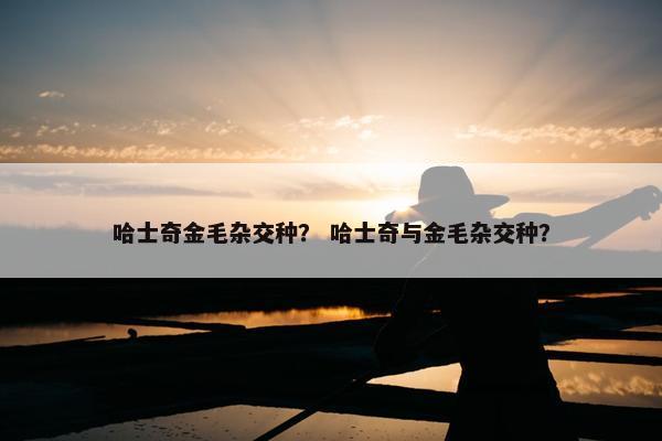 哈士奇金毛杂交种？ 哈士奇与金毛杂交种？