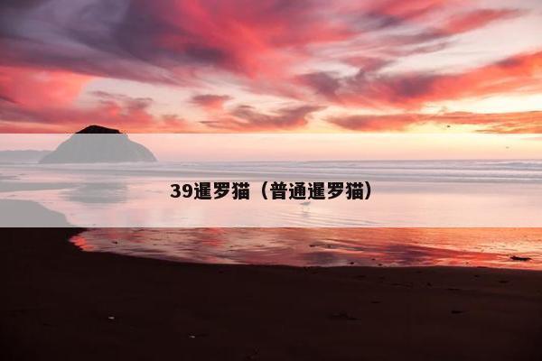 39暹罗猫（普通暹罗猫）