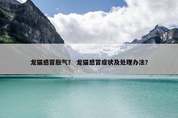 龙猫感冒胀气？ 龙猫感冒症状及处理办法？