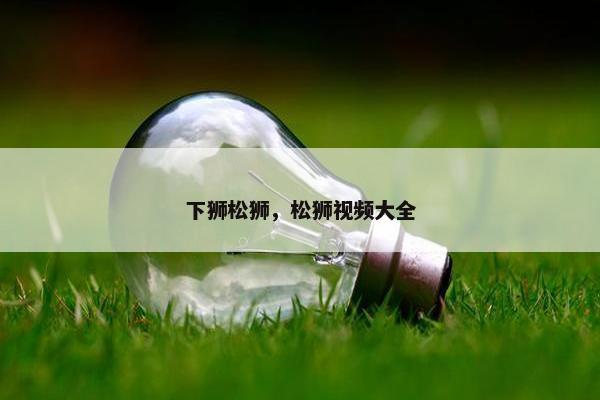 下狮松狮，松狮视频大全