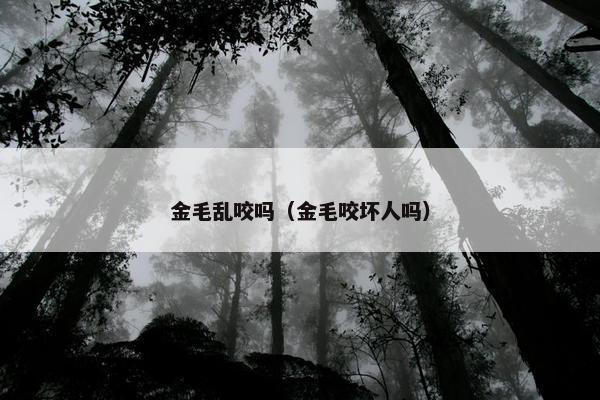 金毛乱咬吗（金毛咬坏人吗）