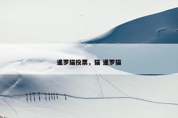暹罗猫投票，猫 暹罗猫