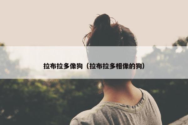 拉布拉多像狗（拉布拉多相像的狗）