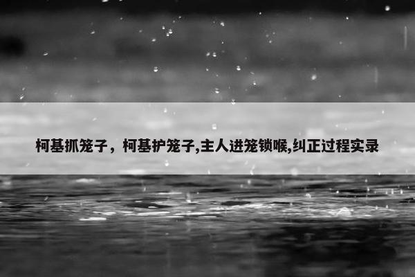 柯基抓笼子，柯基护笼子,主人进笼锁喉,纠正过程实录