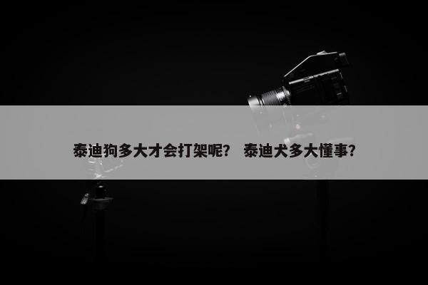 泰迪狗多大才会打架呢？ 泰迪犬多大懂事？