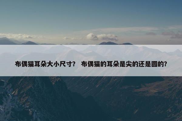 布偶猫耳朵大小尺寸？ 布偶猫的耳朵是尖的还是圆的？