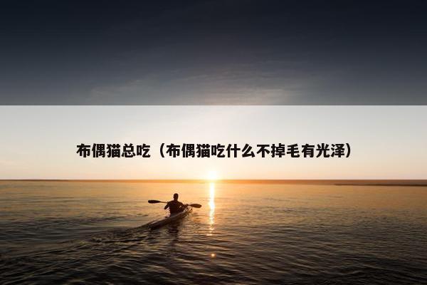 布偶猫总吃（布偶猫吃什么不掉毛有光泽）