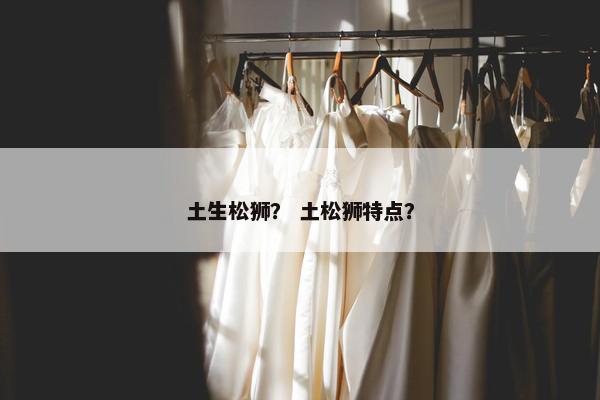 土生松狮？ 土松狮特点？