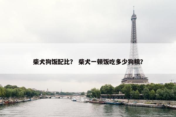 柴犬狗饭配比？ 柴犬一顿饭吃多少狗粮？