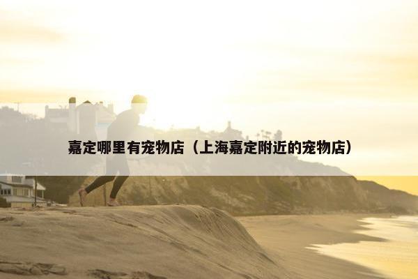 嘉定哪里有宠物店（上海嘉定附近的宠物店）