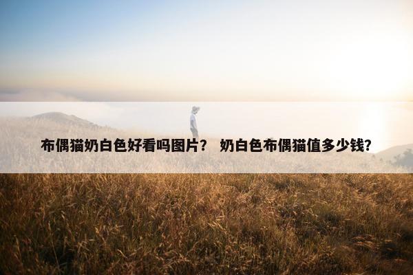 布偶猫奶白色好看吗图片？ 奶白色布偶猫值多少钱？