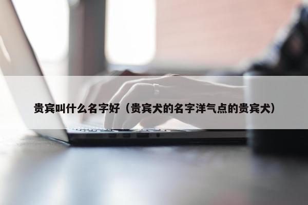 贵宾叫什么名字好（贵宾犬的名字洋气点的贵宾犬）